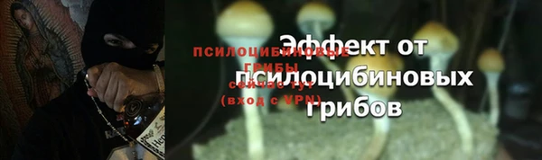 a pvp Алексеевка